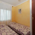 1185 Nirvana 40 - Apivend Immo