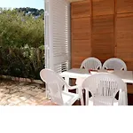 Paradis 31