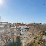 V008 - Estrella De Relja - Roses