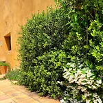 Masia Para Grupos Con Piscina Privada28 Pax