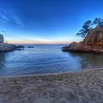 Direct Beachpetfriendly By Rinconesmediterraneos