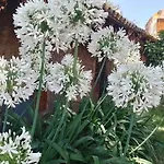 Casa Rural El Refugi Platja D'Aro 4
