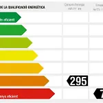 Colera-3