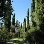 Can Serola