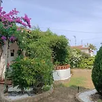 Lluisa