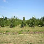 Casa Sant Pere Pescador, 5 Dormitorios, 10 Personas - Es-89-78