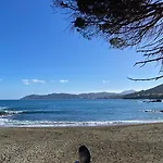 Gran Sol De La Farella