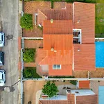 Falguera