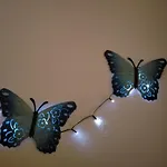 Blue Butterflies Studio