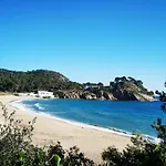 M26 Bonito Ap 1 Hab Playa De La Fosca
