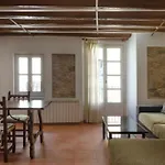 Practico Apartamento En El Casco Antiguo De Girona
