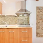 Practico Apartamento En El Casco Antiguo De Girona