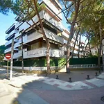 Athenea B1