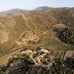 Mas Estela Rai