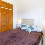 Grifeu 18 Apartamento Con Terraza Y Vistas