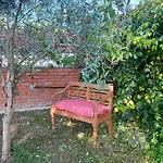 Piscina De Sal Barbacoa Wifi, Parking Gratis, 3 Min Pga Casa El Roble