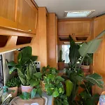 Tibetan Buddhist Jungle Camper