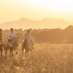 Cal Robusto, Apartament In Masia With Horses