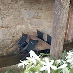 Casa Turistica Platja D'Aro 2