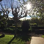 Mas Pau