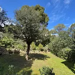 Begur Sa Riera, Vue Mer, Appartement De Charme Pour 4 Personnes A 5Mn De La Plage