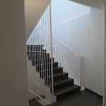 Apartaments Can Calo