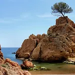 Mar Menuda A Pocos Metros De La Playa