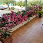 Hotel Nuevo Ondina