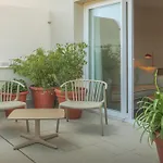 Hotel Spa Mediterraneo Park