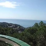 Torre