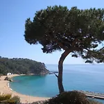 Torre