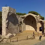 Danlux Leo
