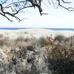 Villa Mas Sopes