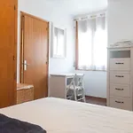 Montiel