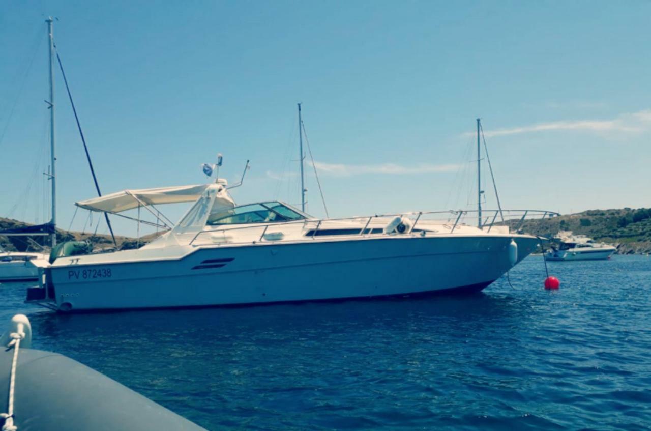 Botel Nuitée Sur Magnifique Vedette Roses